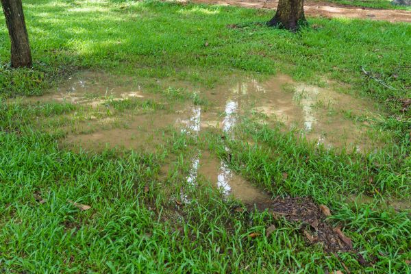 Cost of Storm Water Drainage Service in Norristown