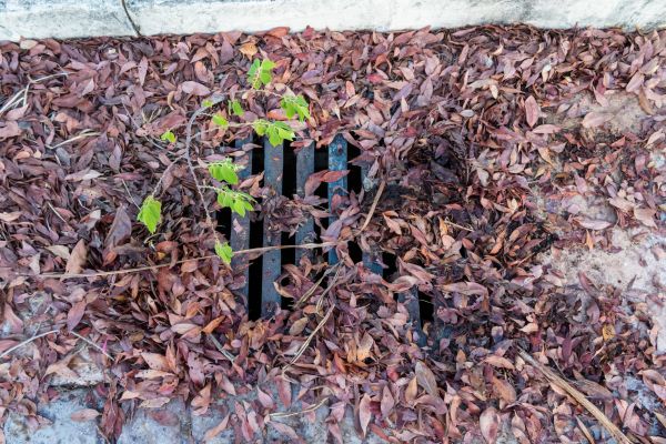 Cost of Yard Drain Unclogging in Norristown