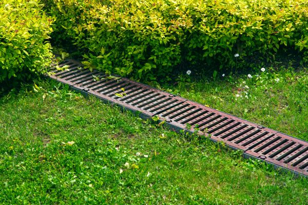 Cost of Lawn Drainage in Norristown