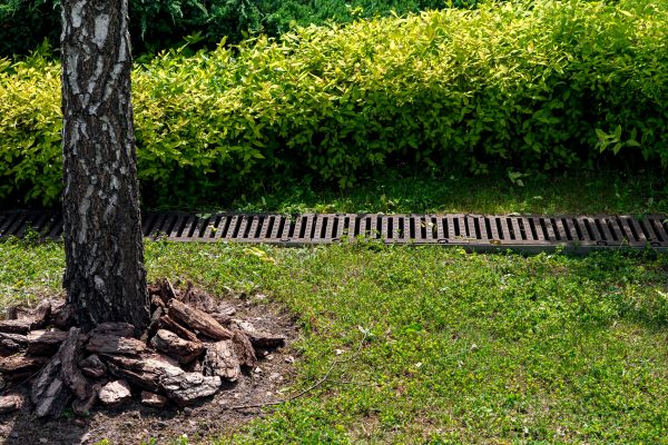 Cost of Yard Water Redirection in Norristown