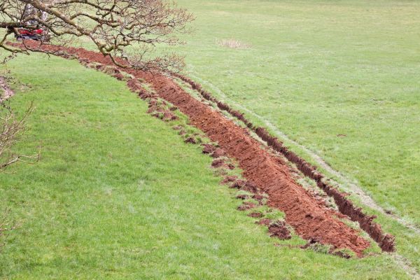 Cost of Swale Installation in Norristown