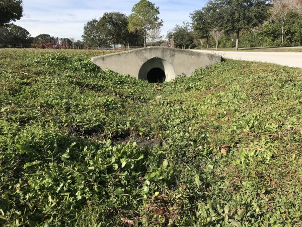 Cost of Swale Drainage Service in Norristown